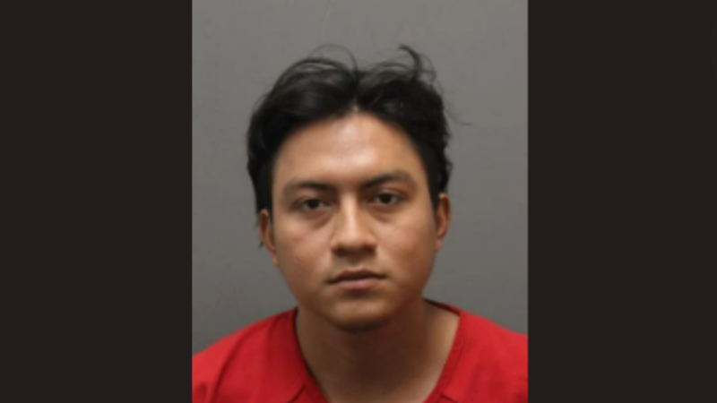 Illegal immigrant from El Salvador steals Maryland woman's car,
fatally running her over 