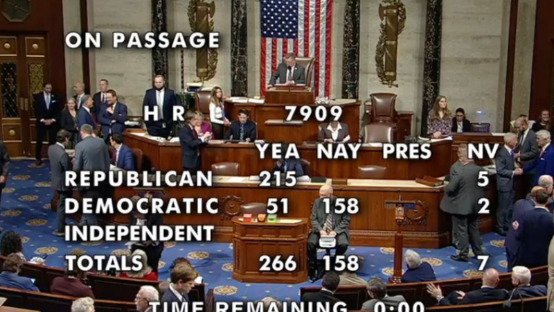 'Treason': More than 150 House Democrats vote against deporting
illegal immigrants convicted of sex crimes