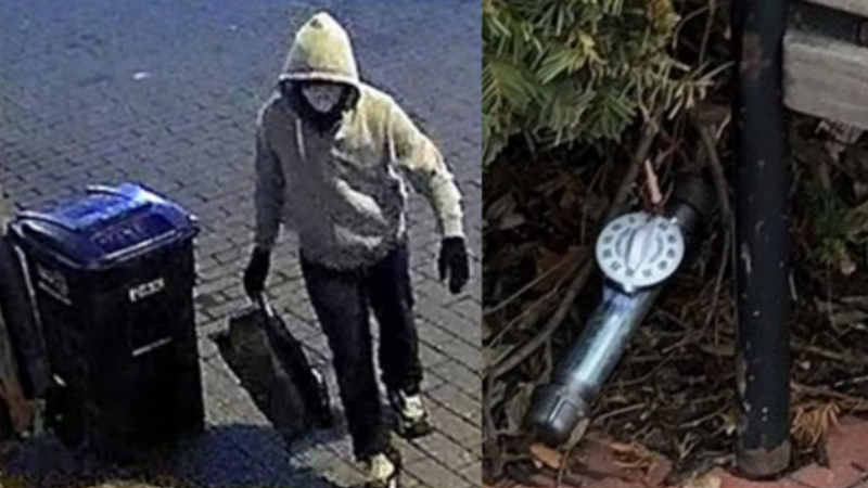 Rep. Massie: FBI no longer has DNC video footage of man planting pipe
bomb outside DNC headquarters on Jan. 5, 2021