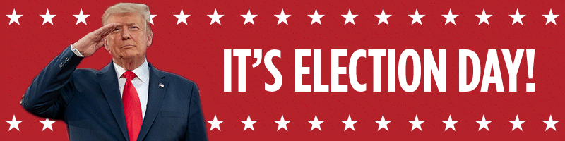 2024_09_c1453_tnc_fundraising_animatedelectioncountdownemailheaders_electionday_djt_v1sk.gif