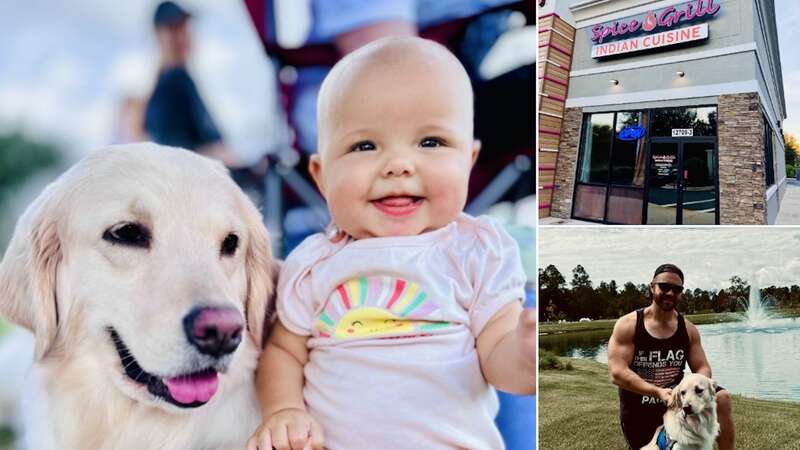 Restaurant to service dog handler: You can't have that thing in here.
What law? Ok, then put it in a cage.