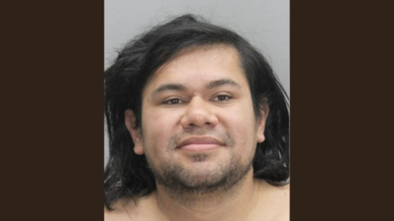 Illegal immigrant from Honduras commits first 'stranger rape' days
after being released from jail
