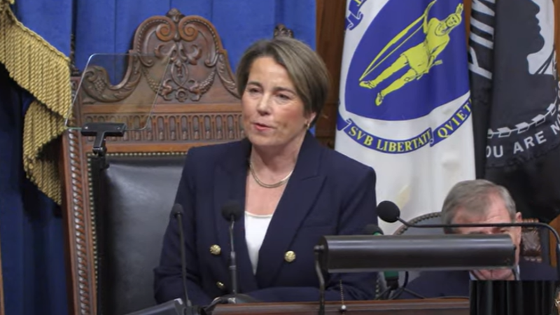 DEI governor 'outraged' after illegal alien she put up in state
shelter pinched with AR-15, fentanyl and cocaine