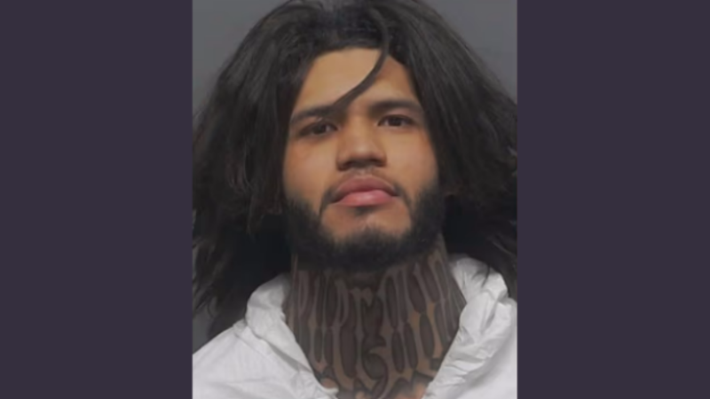 Illegal immigrant, 26, arrested for murder of his 81-year-old
significant other