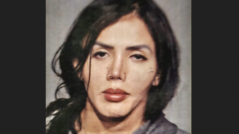 Transgender illegal migrant arrested after allegedly stalking, raping
New York youth