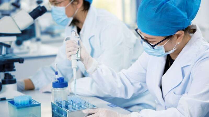 Chinese Nationals, Including Michigan Lab Worker, Accused of Smuggling
Crop-Killing Fungus into US