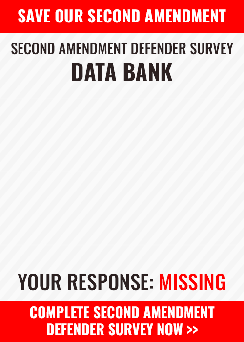 Data Bank Graphic