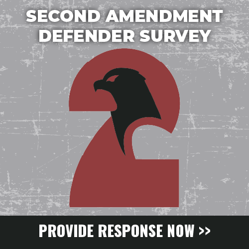 Provide Response Now >>