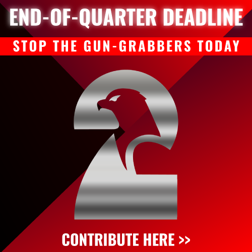 Contribute Here >>