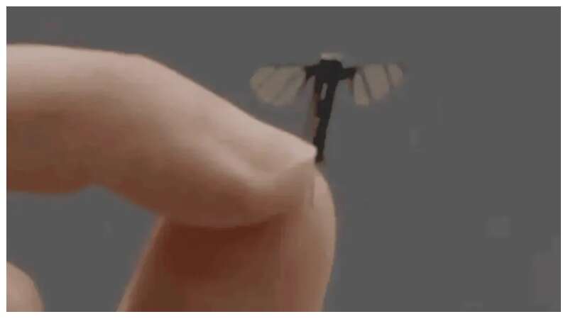 New Bug-Sized Chinese Spy Drone Sparks Global Surveillance Fears