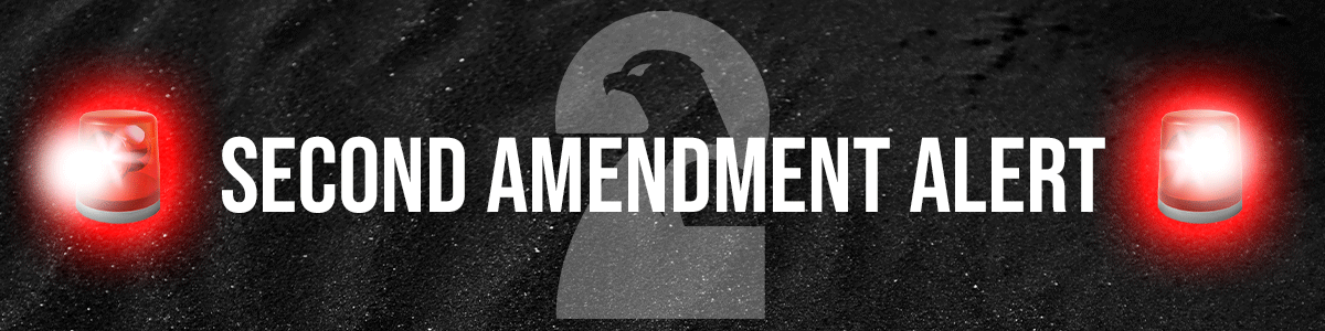 Second Amendment Foundation