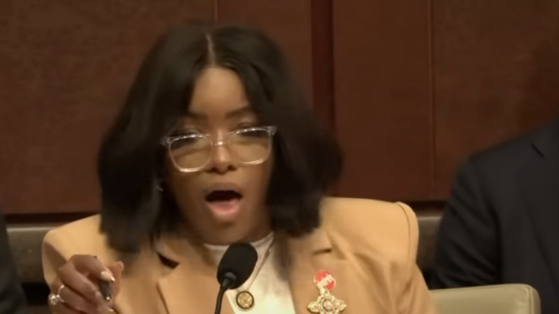 Unhinged Democrat from 