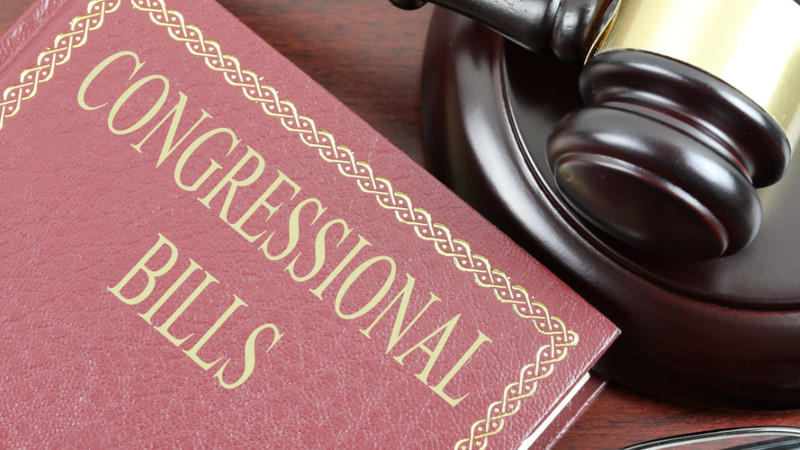 D.C. House Republicans Pass Two Bills to Rein In Crime, Predictably
Triggering Democrat Outrage